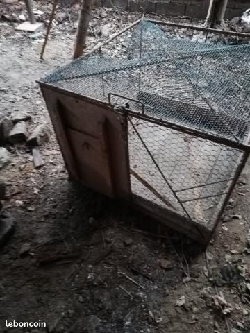 Cage grillagée pour Lapins ou Poules - 1
