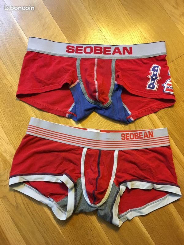 Boxer Seobean - 1