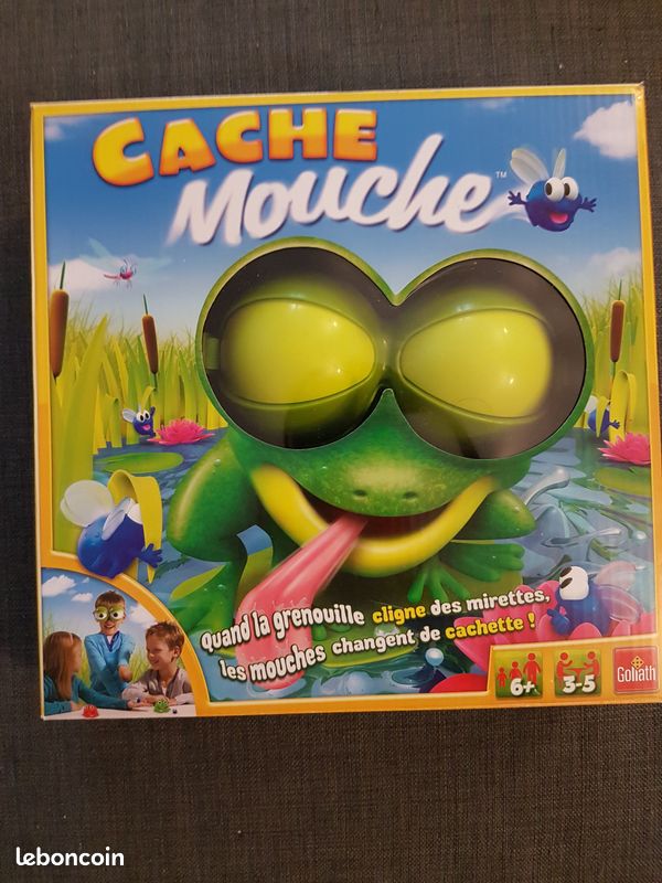 Jeu Cache Mouche - 1