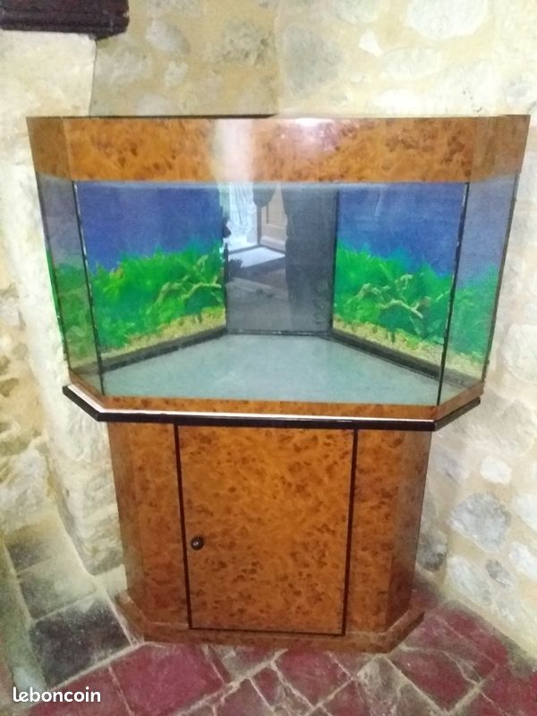 Aquarium+meuble - 1