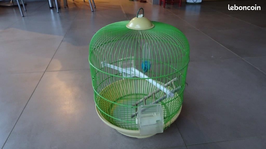 Cage à oiseaux - 1