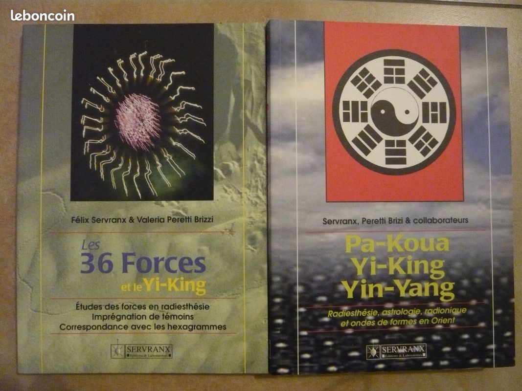 Lot de 2 livres sur le Yi-King - 1