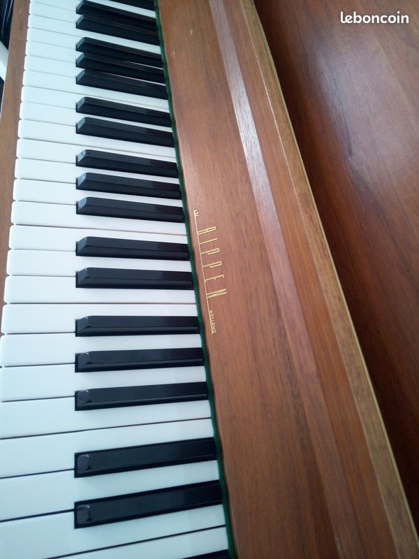 Piano Rippen - 1