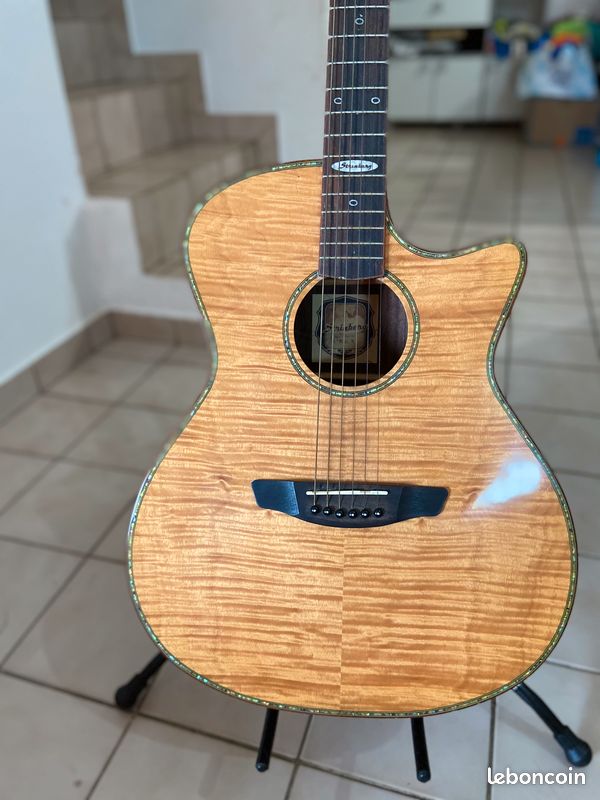 Guitare StrinBerg - 1