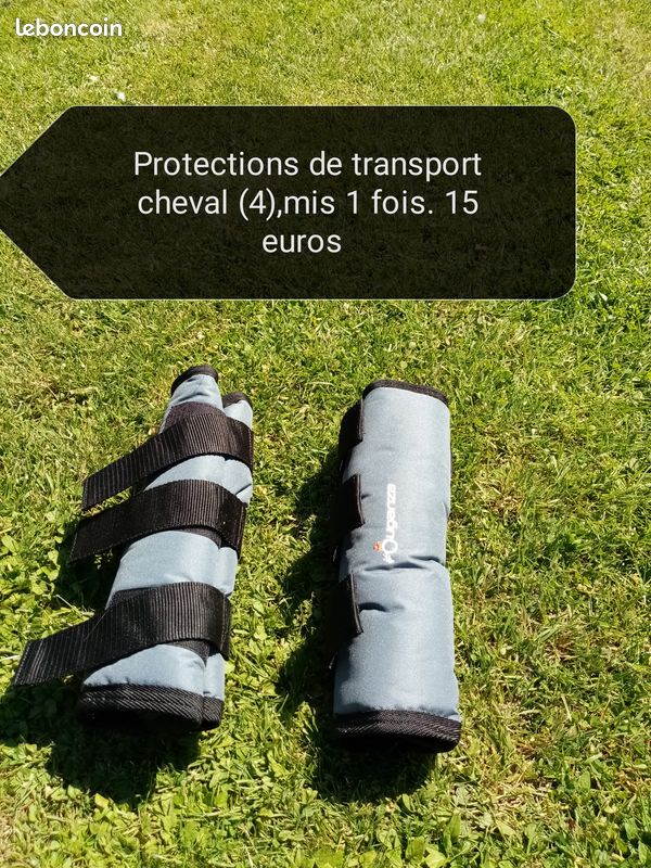 Protections de transport cheval - 1