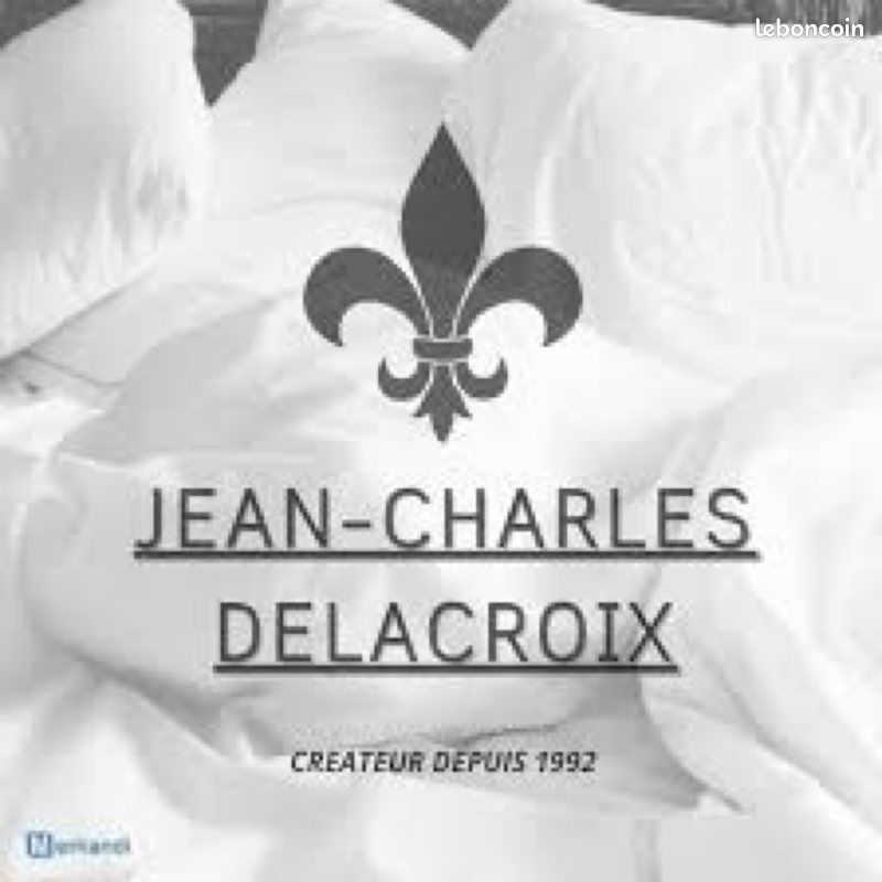 Oreillers jean Charles Delacroix a mémoire de forme - 1