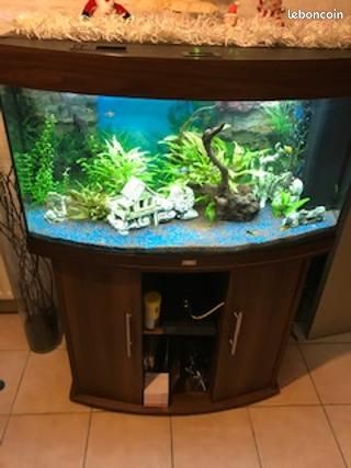 Aquarium juwel avec meuble - 1