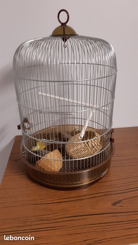 Cage oiseau - 1