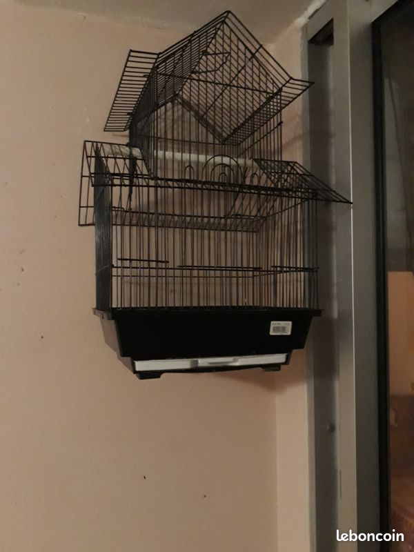 Cages d'oiseaux - 1
