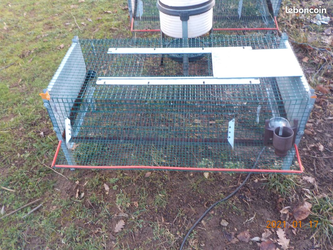 Cages éleveuses poussins cailles lapins - 1