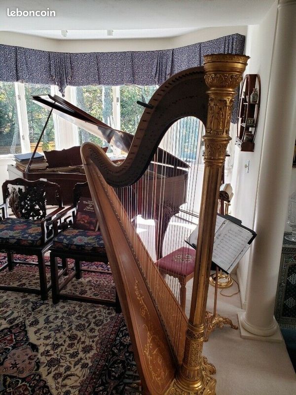 Harpe Semi-Grand Lyon & Healy Style 24 - 1
